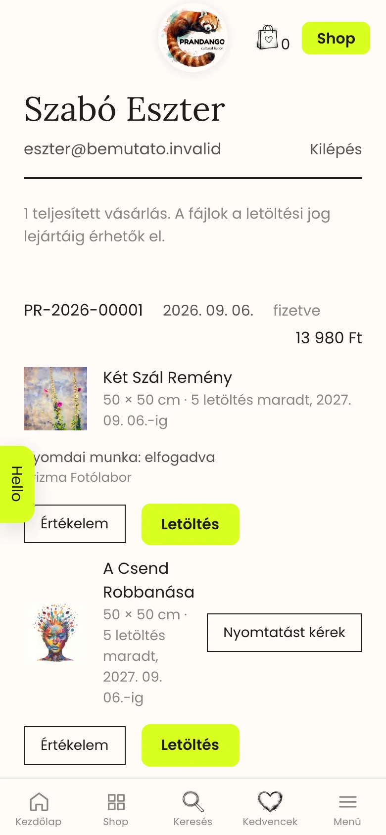 A vevő fiókja telefonon: letöltés, nyomtatás kérése, értékelés